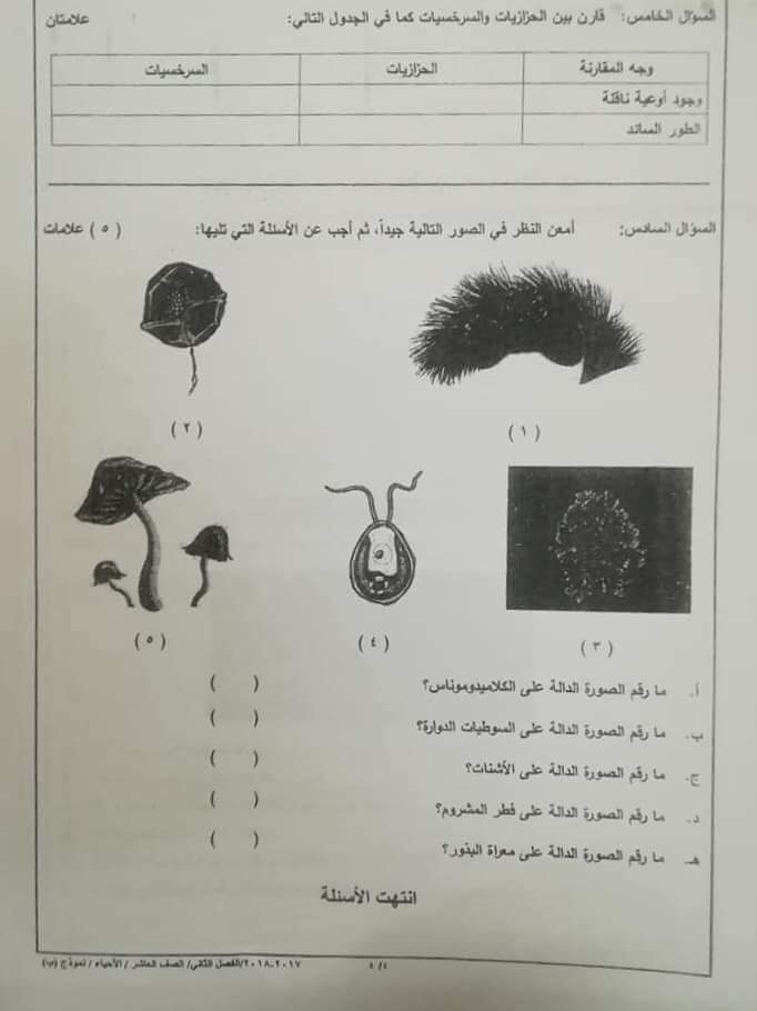 MjE4OTcyMQ57574 صور امتحان نهائي وكالة نموذج ب مادة الاحياء للصف العاشر الفصل الثاني 2018